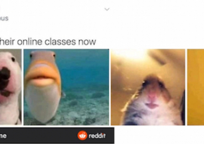 «everyone in their online classes now»
